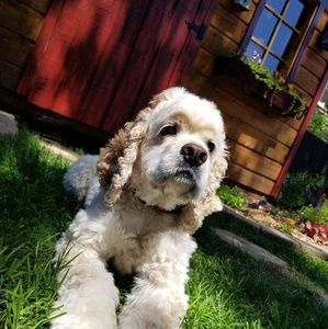 Meet your Posher, Marie-eve